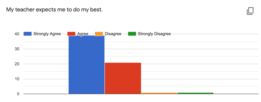 Answer to the question "My teacher expects me to do my best."